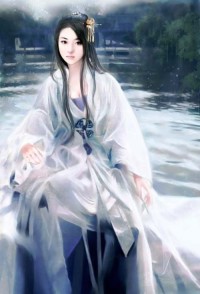 杨家将外传＋薛家将秘史